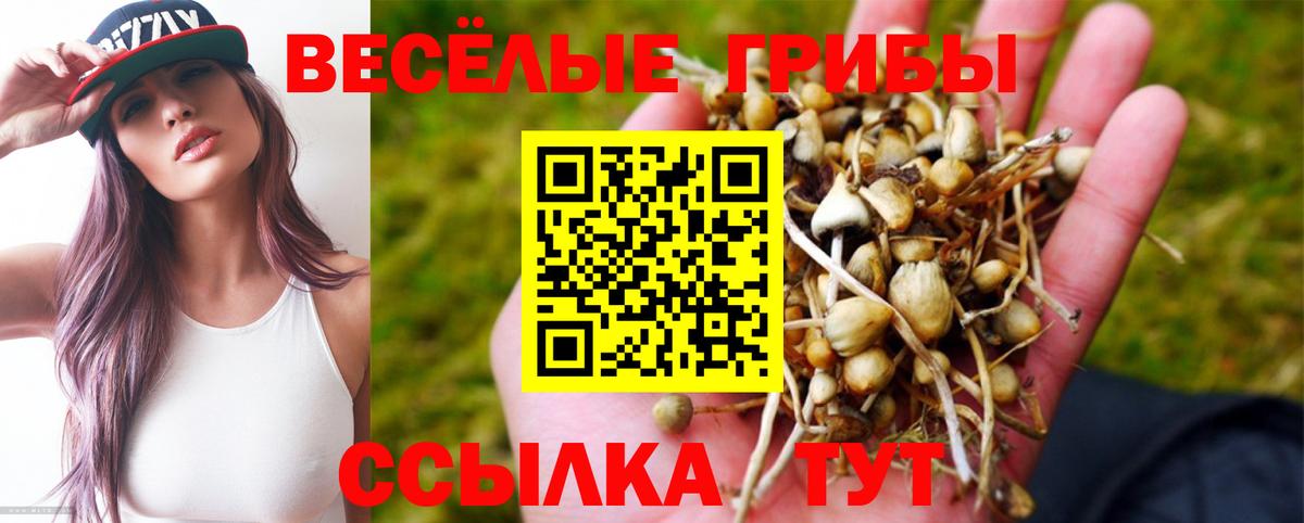 Галлюциногенные грибы мицелий Кизляр